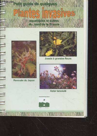 Petit guide de quelques plantes invasives, aquatiques et autres du nord de la France : Jussie  grandes fleurs, Renoue du Japon, Aster lancol, etc.