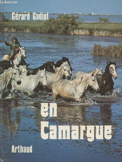 En Camargue : Taureaux, chevaux et gardians.