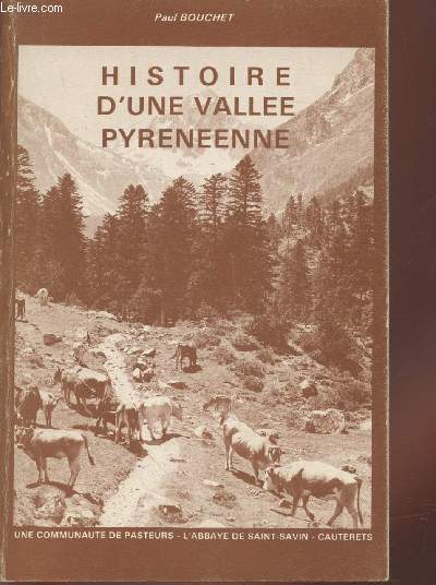 Histoire d'un valle pyrnenne