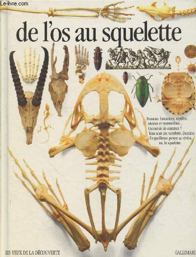 De l'os au squelette (Collection : 