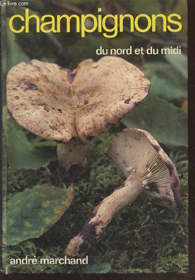 Champignons du Nord et du Midi Tome 6 : Lactaires et pholiotes - 160 espces, formes et varits dcrites ou cites.