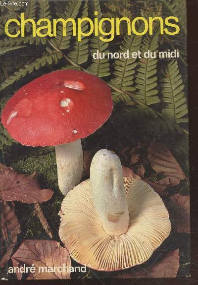 Champignons du Nord et du Midi Tome 5 : Les Russules - 272 espces, formes et varits dcrites ou cites.