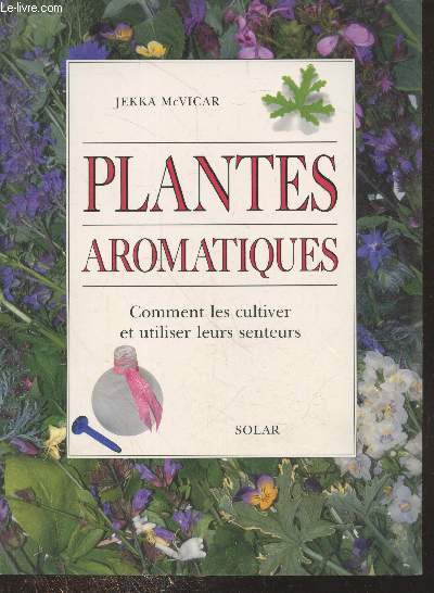 Plantes aromatiques : Comment les cultiver et utiliser leurs senteurs
