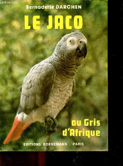Le jaco ou gris d'afrique, le plus celebre des perroquets parleurs