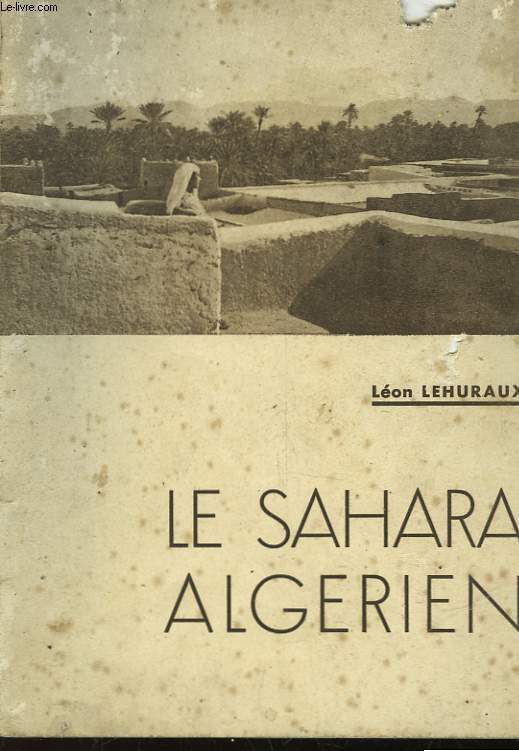 LE SAHARA ALGERIEN