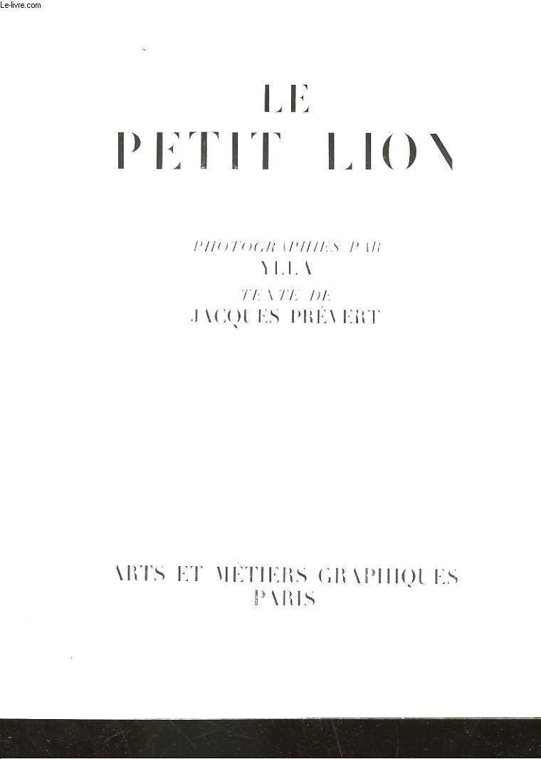 LE PETIT LION