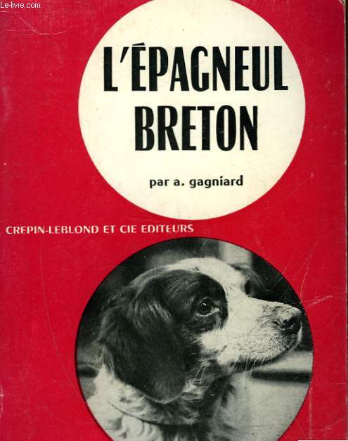 L'EPAGNEUL BRETON - CHIEN D'ARRET IDEAL