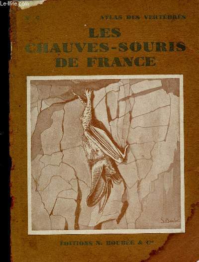 LES CHAUVES-SOURIS DE FRANCE