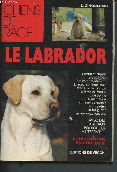 Chiens de race : Le labrador