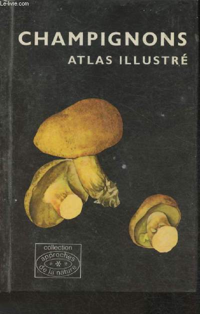Champignons - Atlas illustr