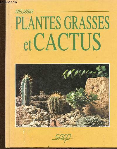 Russir plantes grasses et cactus