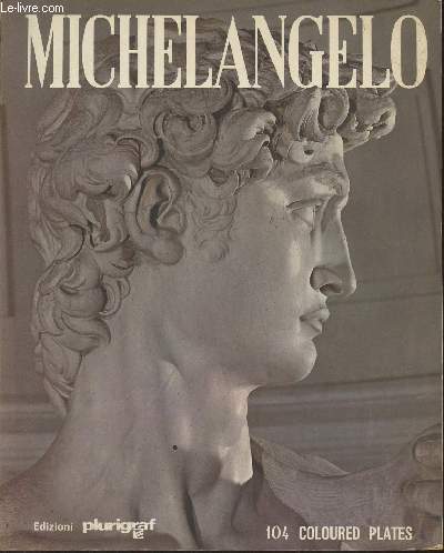 Michelangelo- Painter, Scupltor, Architect