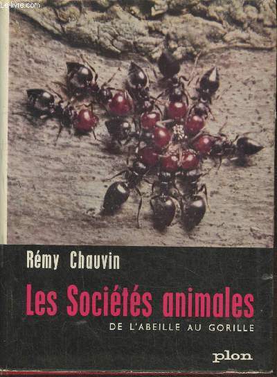 Les socits animales- De l'abeille au gorille (Collection 