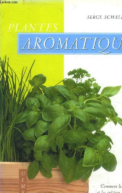 Plantes aromatiques. Comment les choisir et les cultiver facilement