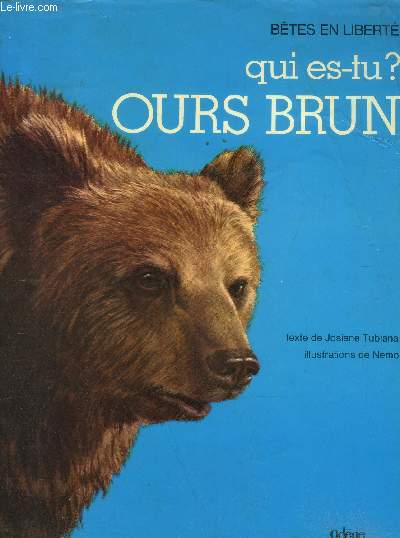 Qui es-tu ours brun