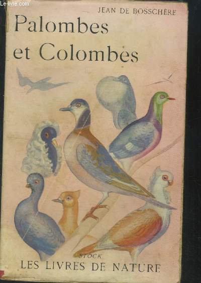 Palombes et colombes