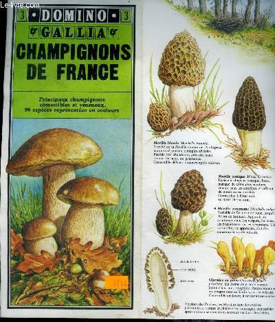 Domino gallia N3 champignons de france- principaux champignons comestibles et veneneux, 99 especes representees en couleur