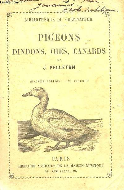 PIGEONS DINDONS, OIES, CANARDS