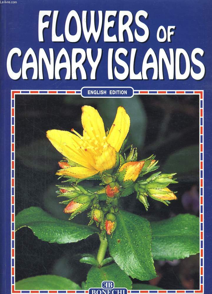 FLOWERS OF CANARY ISLANDS