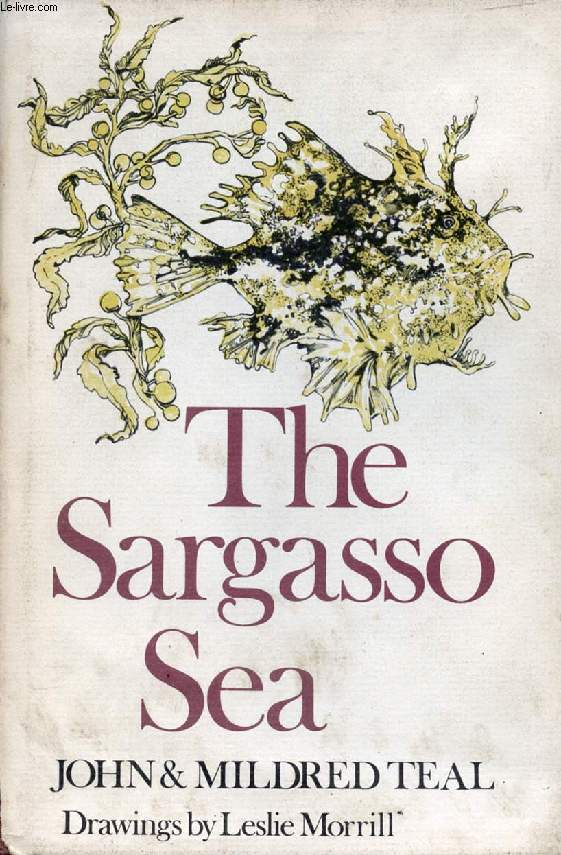 THE SARGASSO SEA
