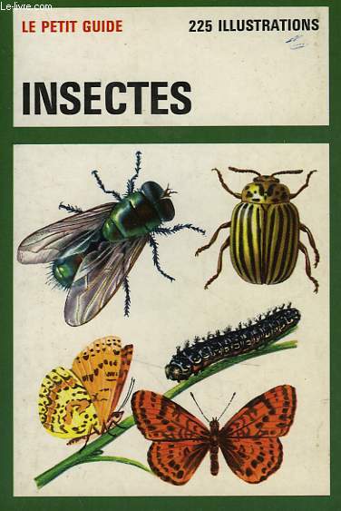 INSECTES