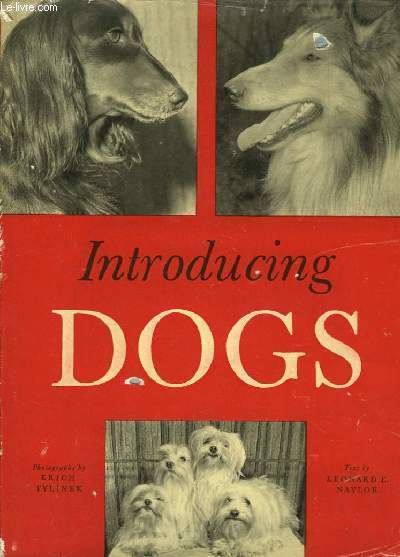 Introducing Dogs.