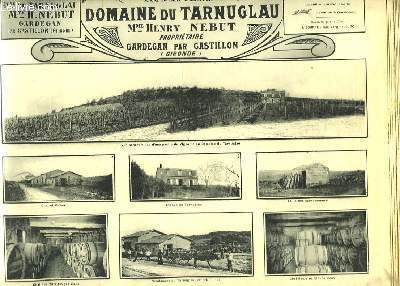 Les Vins de la Gironde Illustrs. Domaine du Tarnuglau.