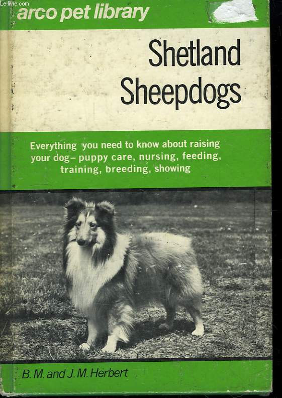 Shetland Sheepdogs.