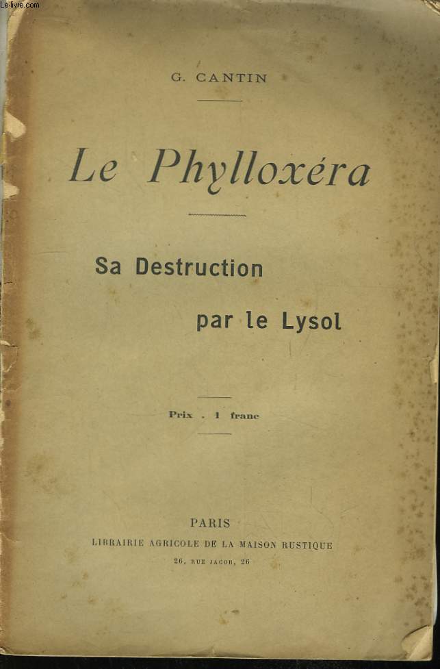 Le Phylloxera. Sa destruction par le Lysol.