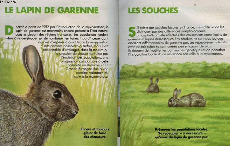 Le Petit Livre Vert N5 du Chasseur : Le Lapin de Garenne