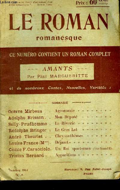 Le Roman romanesque n6 : 