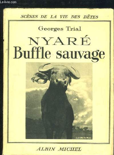 Nyar, Buffle sauvage.