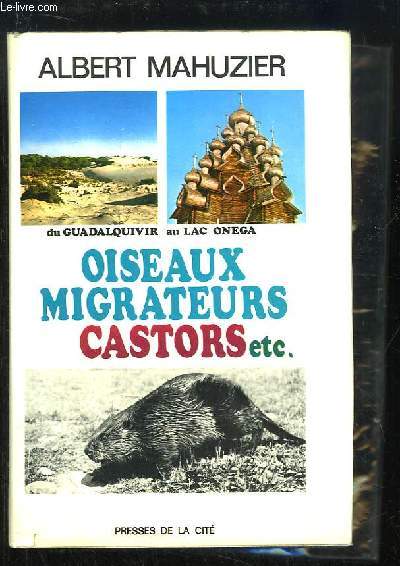 Oiseaux migrateurs, Castors. Du Guadalquivir au lac Onga.