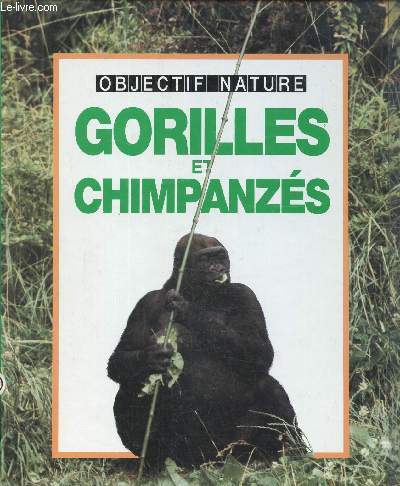 Gorilles et chimpanzs