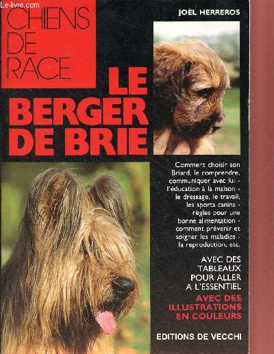 Le berger de brie - Collection chiens de race.