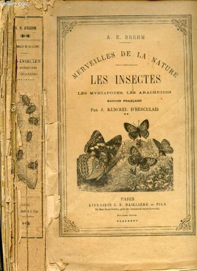 Merveilles de la nature - Les insectes. Les myriopodes, les arachnides. Edition franaise par J. Knckel d'Herculais, aide-naturaliste au musum d'histoire naturelle