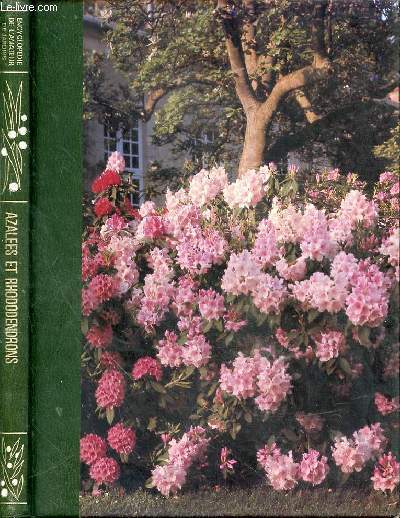 Rhododendrons. Azales et Camellias