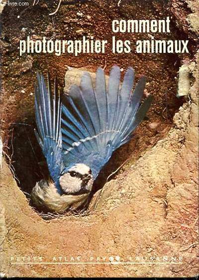 COMMENT PHOTOGRAPHIER LES ANIMAUX - N54